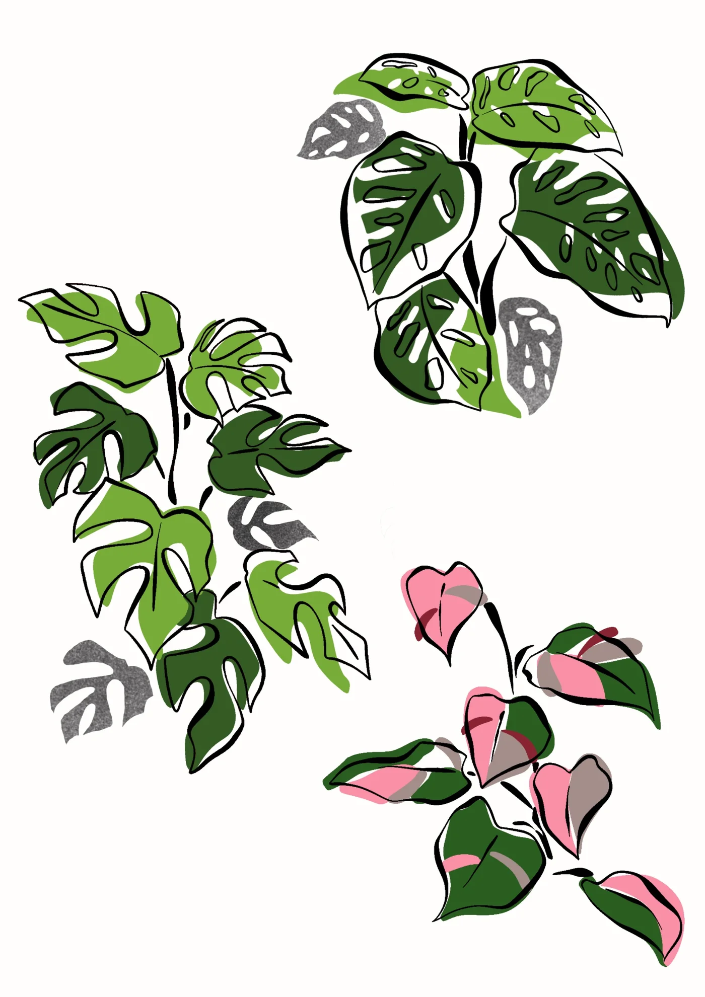 Flash plante couleur