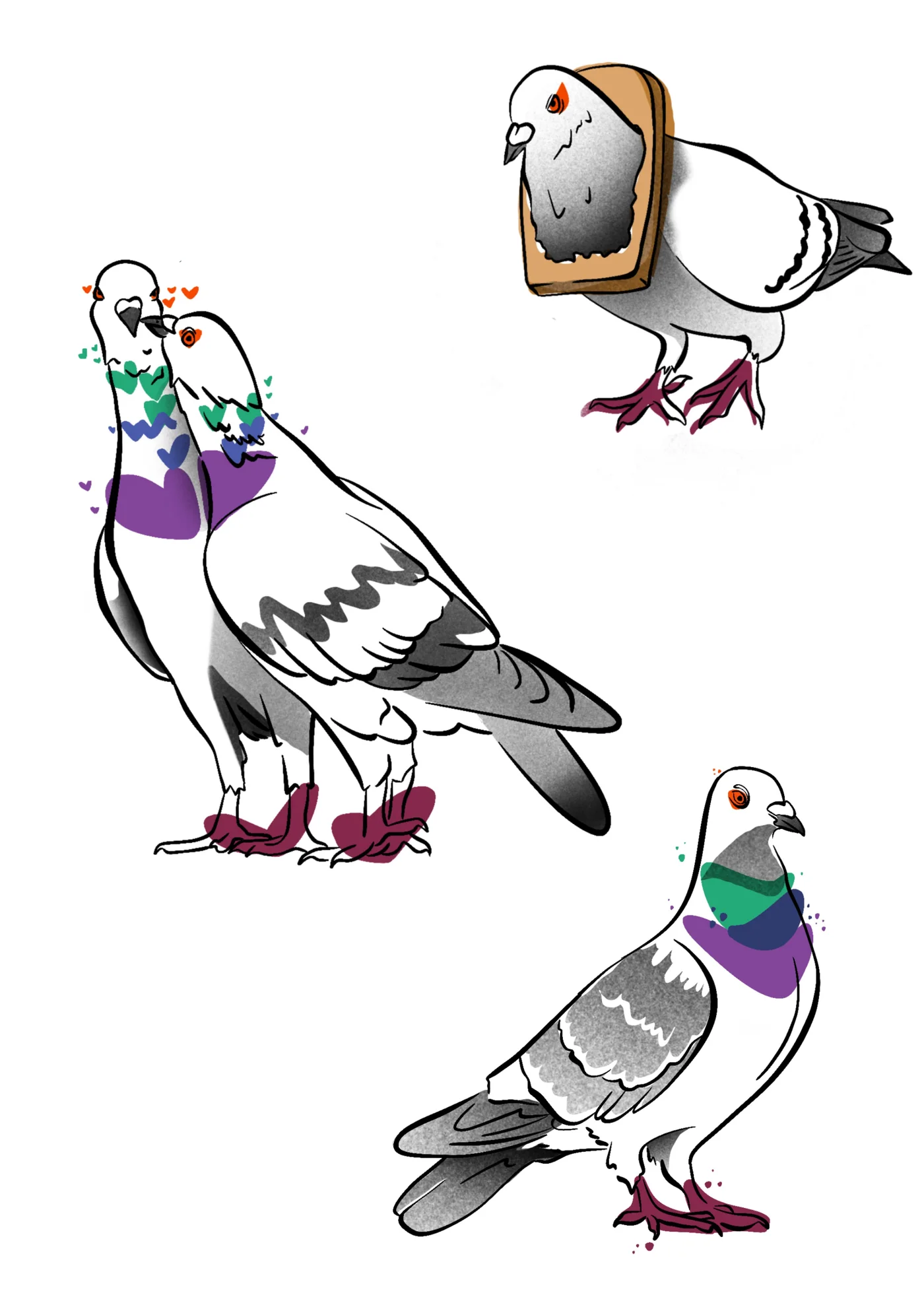 Flash pigeon