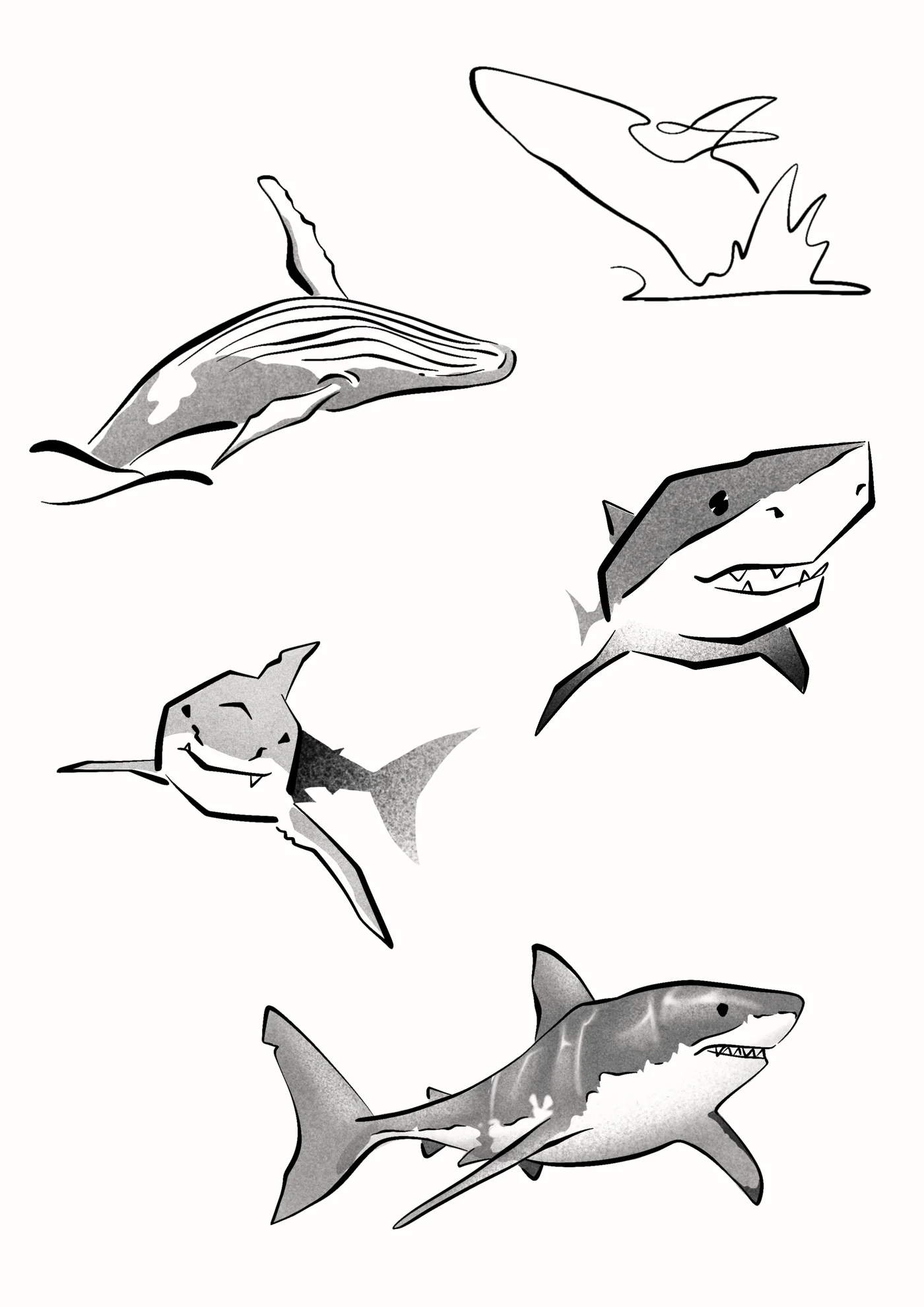 Flash requin