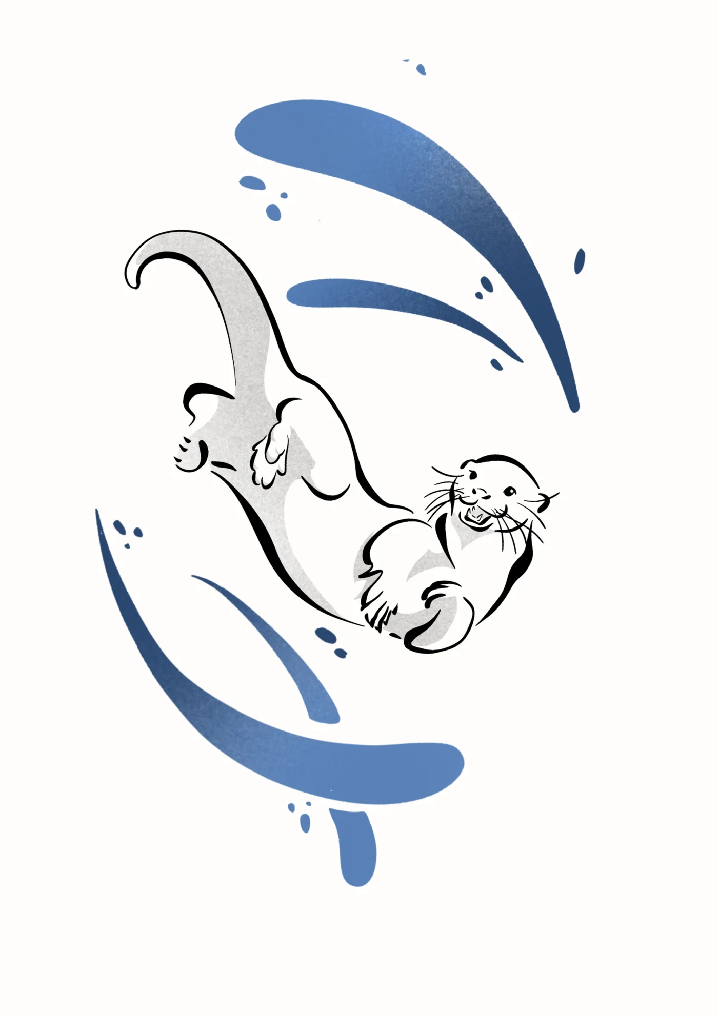 Flash loutre