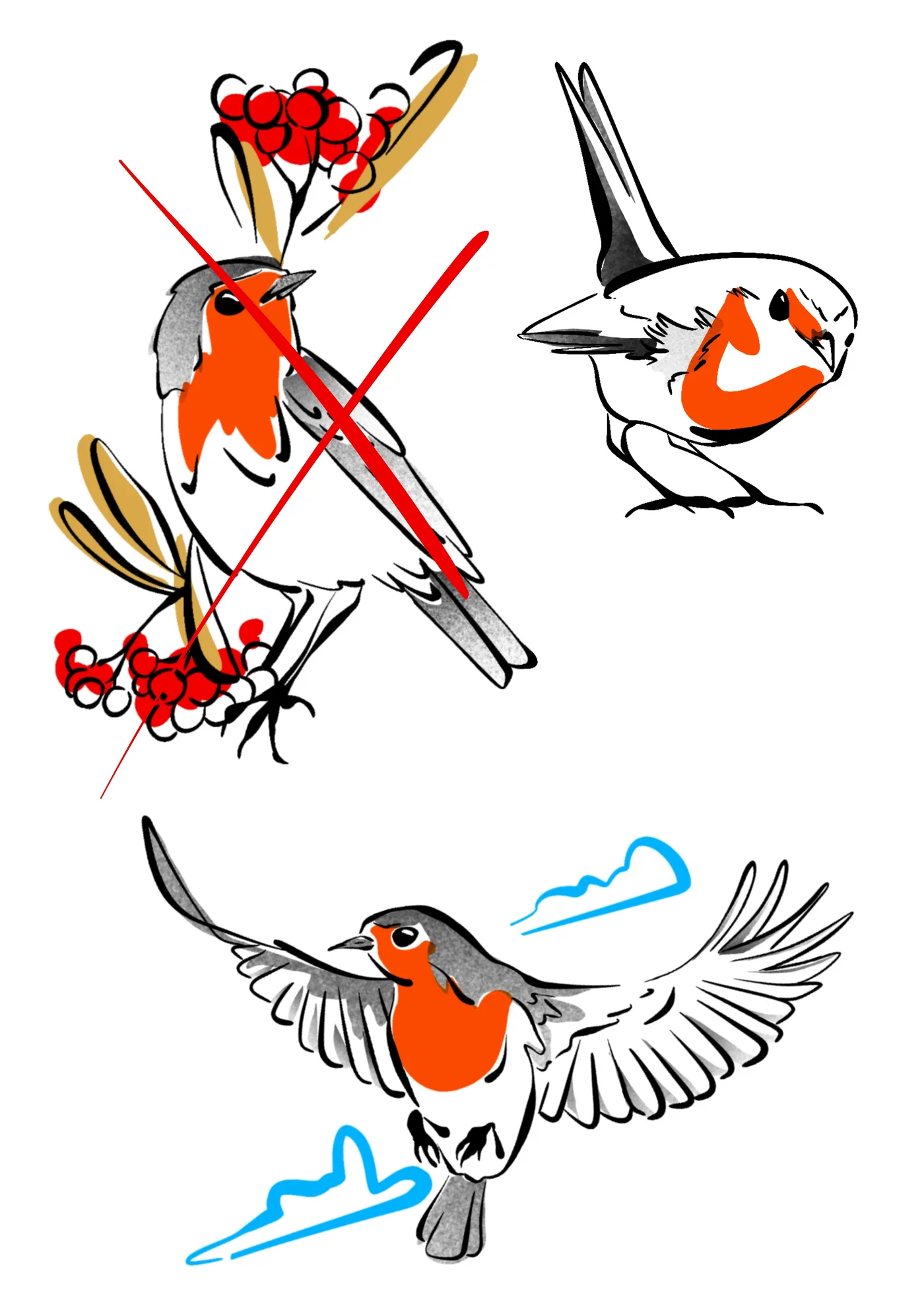 Flash rouge gorge