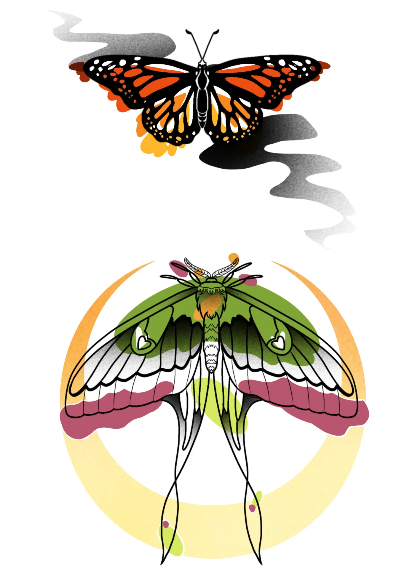 Flash papillon 2