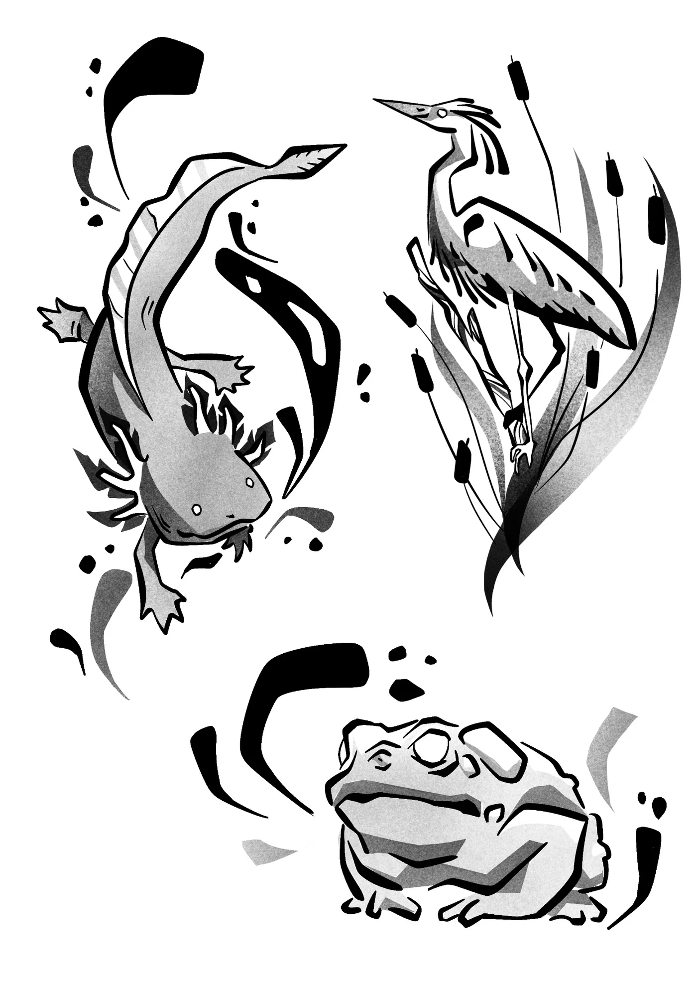 Flash animaux