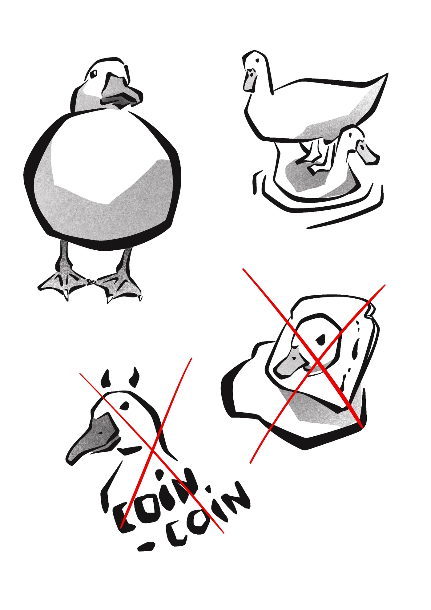 Flash canard