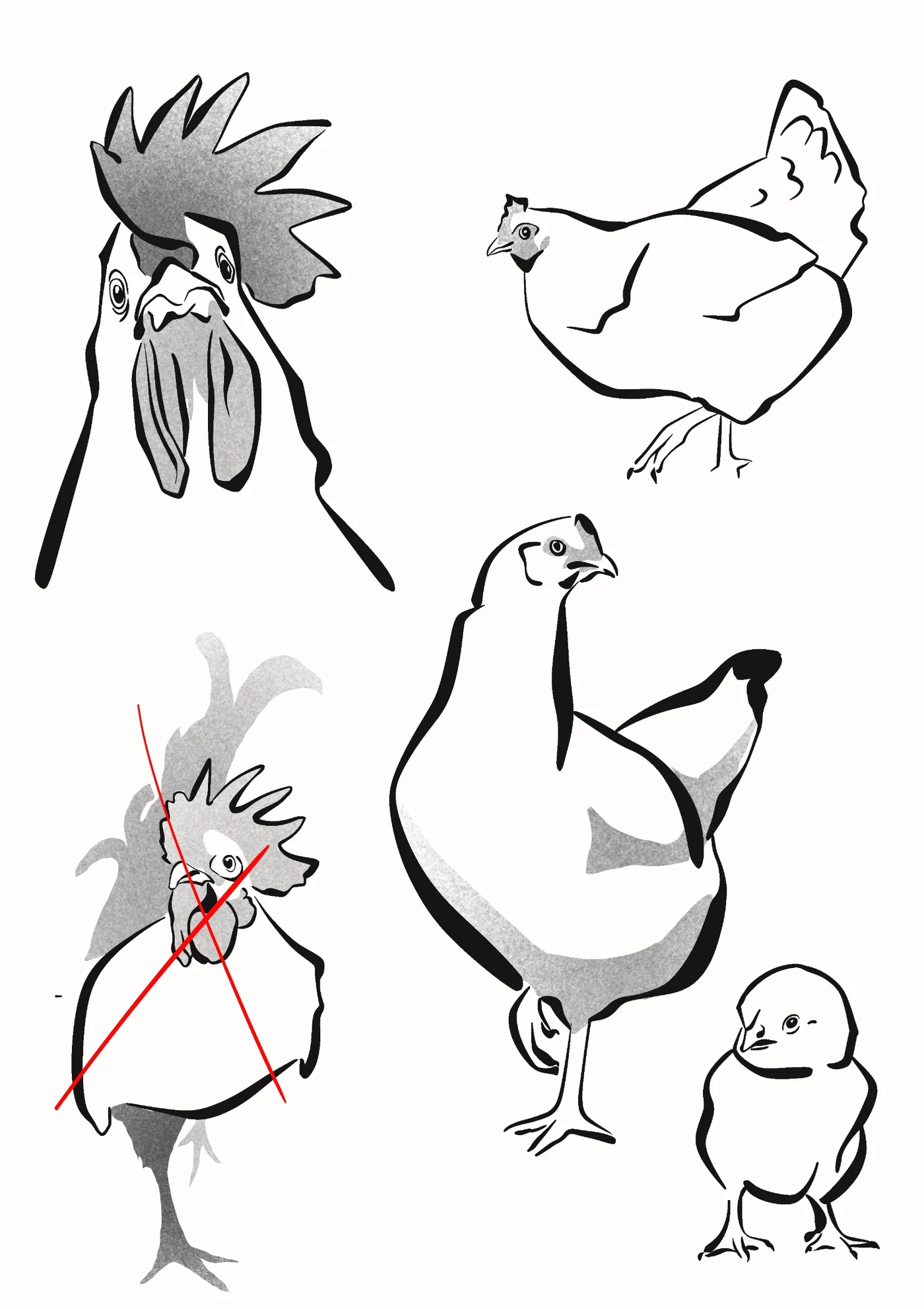 Flash poulet