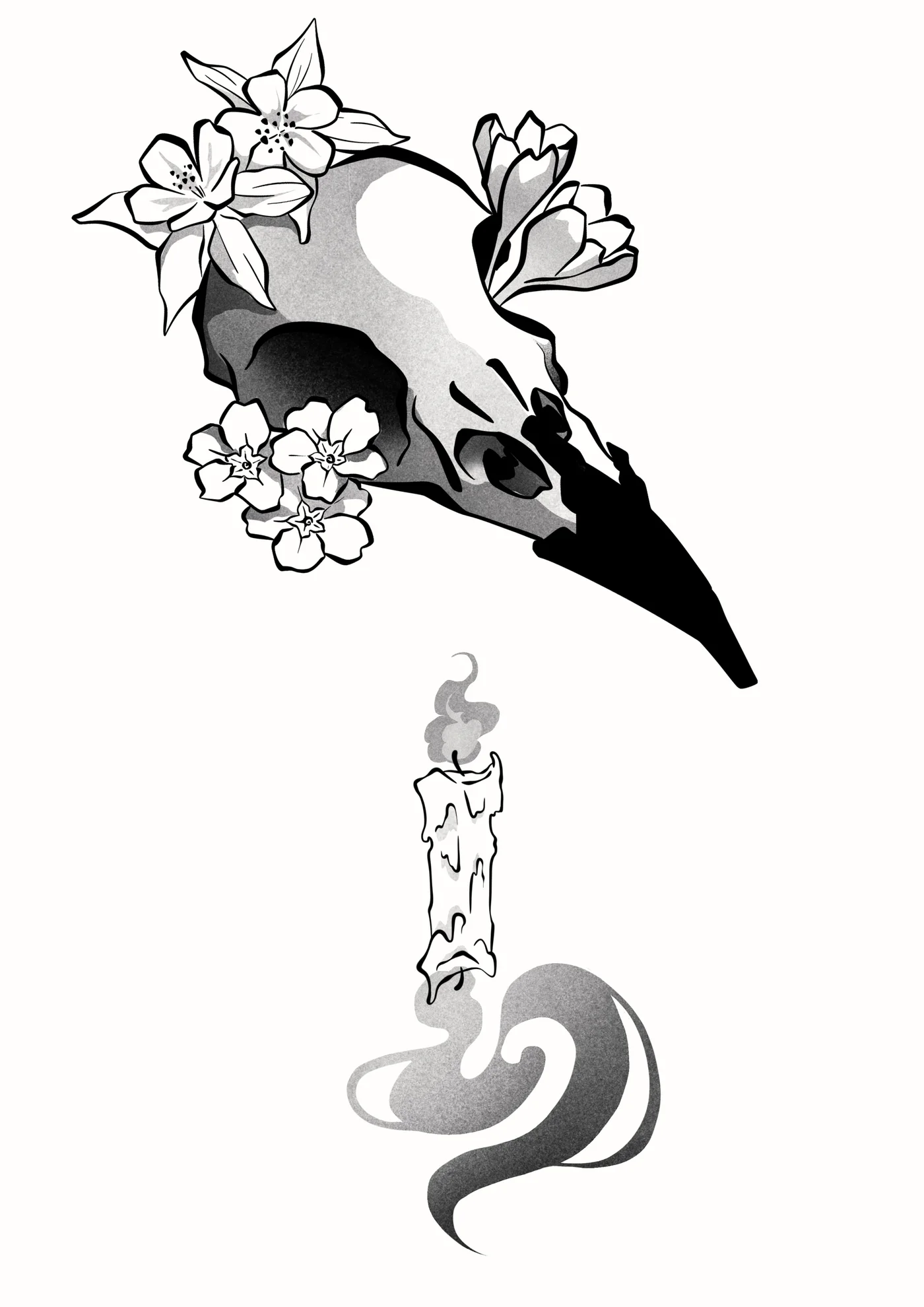 Flash witchy